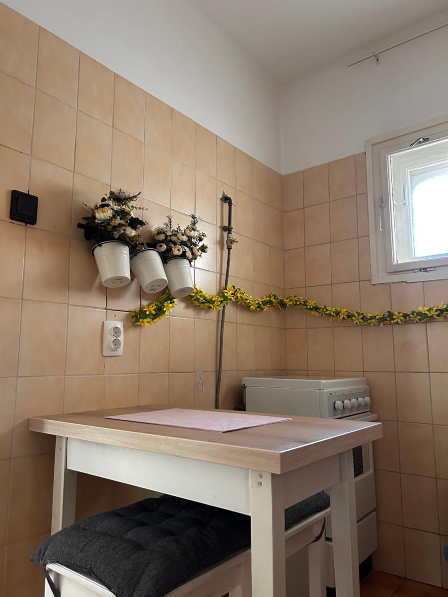 Cozy Apartment In The City Centre Next To Dom Square Segedin Dış mekan fotoğraf